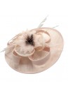 Chapeau Ceremonie Bibi Pince Mariage Fleur Plumes Rose