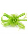 Pince Broche Mariage Fleur Sisal Plumes Ruban Satiné Vert Pomme