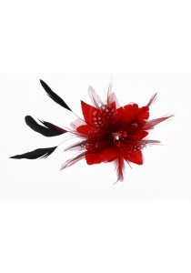 Pince Broche Ceremonie Soirée Mariage Fleur Plumes Strass Rouge