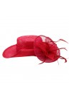 Chapeau Fleur Disk Plume Mariage Rouge