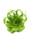 Pince Broche Mariage Fleur Plumes Ruban Rond Vert Pomme