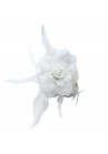 Pince Cheveux Crabe Mariage Plumes Scintillant Blanc